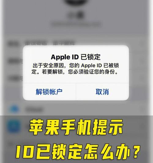 苹果手机ID的魅力与应用（解析苹果手机ID的功能与优势）