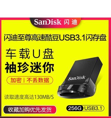 闪迪U盘加密安装教程（一键保护您的数据隐私，轻松安装闪迪U盘加密）